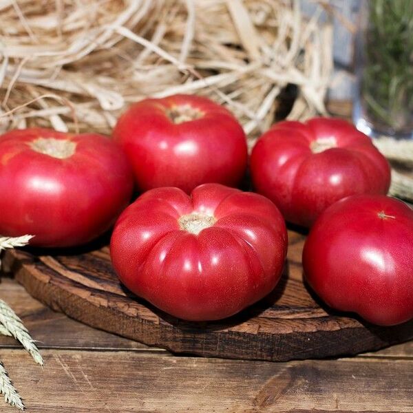 Помидоры узбекские крупные (Danilovskymarket)