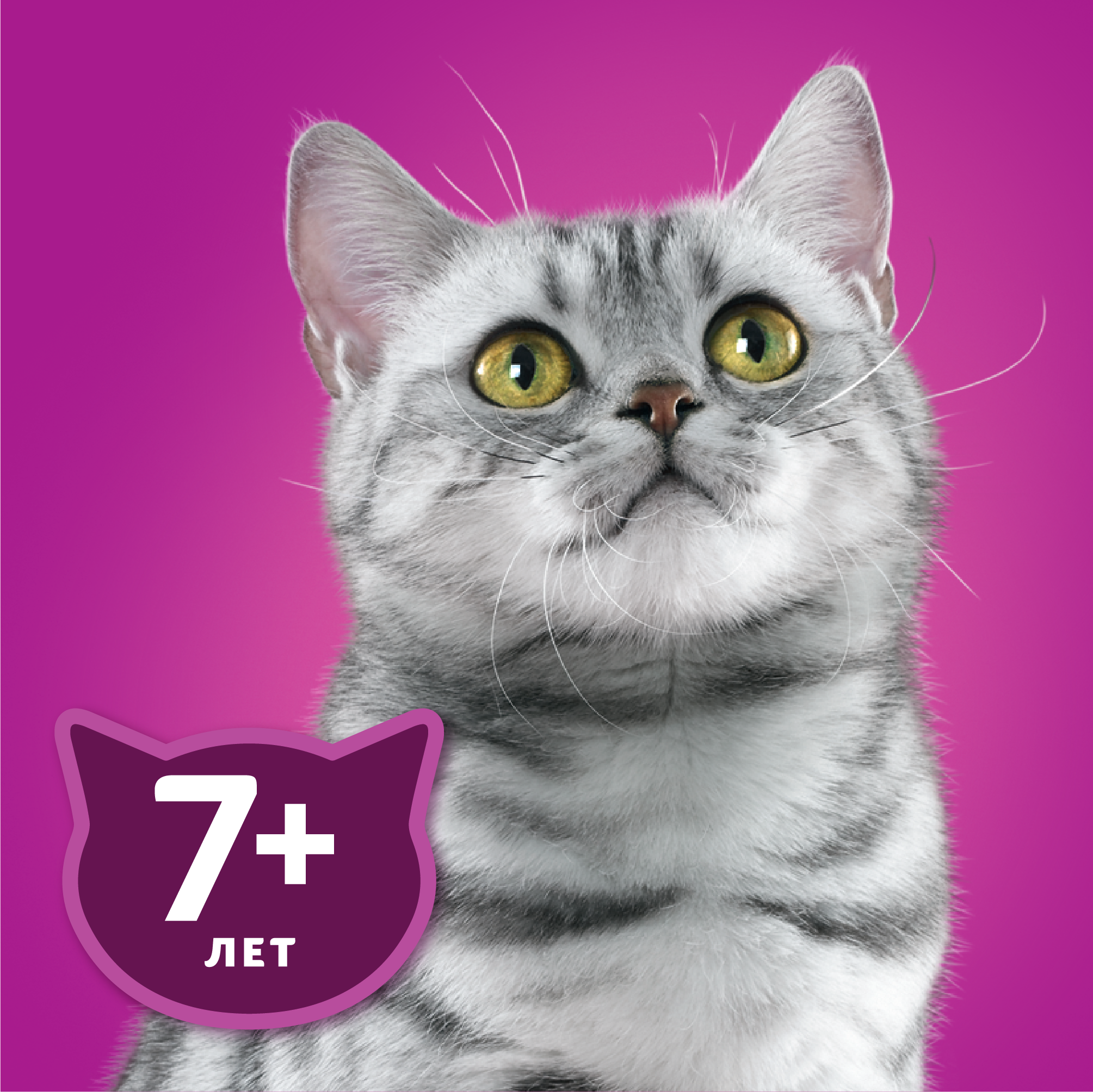 

Влажный корм Whiskas для кошек старше 7 лет, рагу с ягненком, 1 шт, 75 г