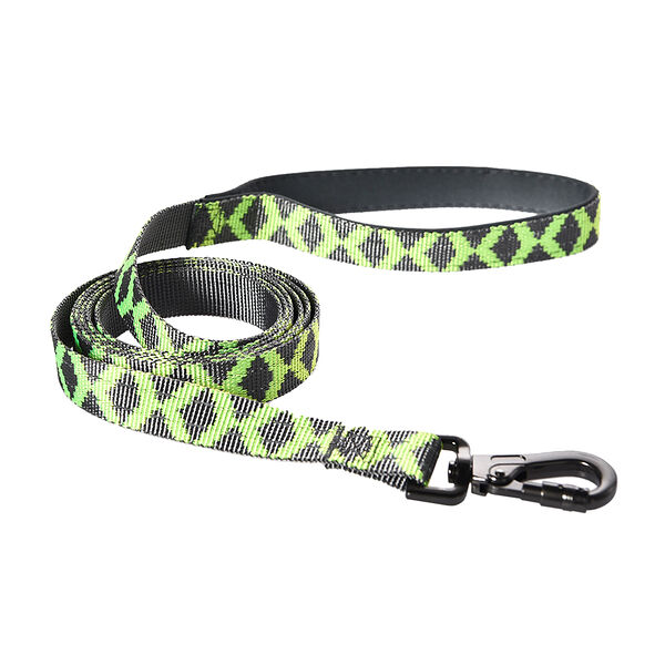 Поводок для собак FOXIE Reflect 1,9x200см c зелеными полосками
