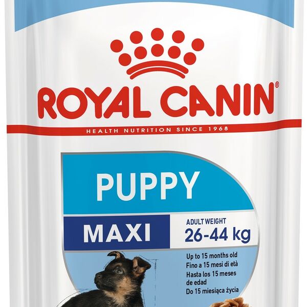 Влажный корм Royal Canin Maxi Puppy в соусе, для щенков крупных пород 140г