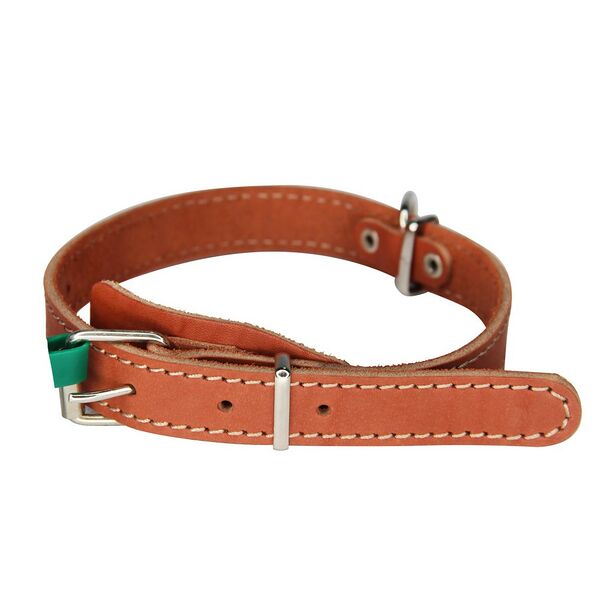 Ошейник Аркон №35/1к для собак