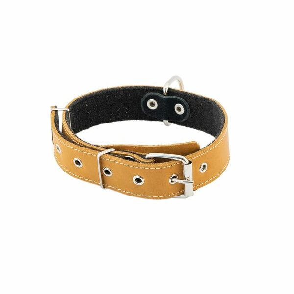 HOMEPET ошейник кожаный 35мм х 45-60см простроченный с язычком на фетре янтарь
