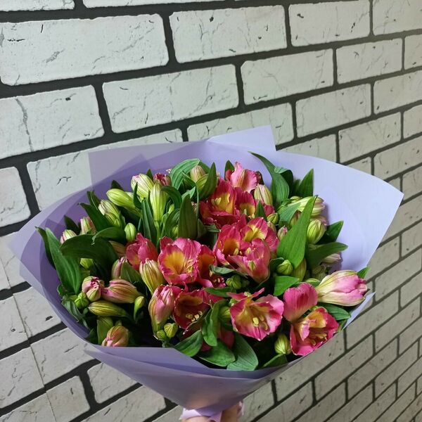 Монобукет из красной альстромерии