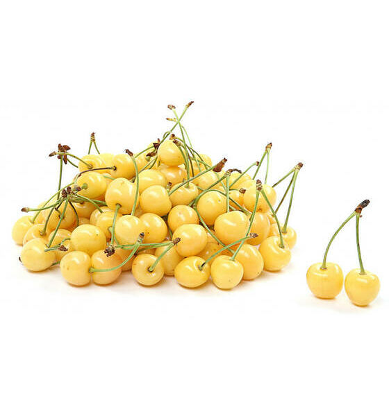 Черешня жёлтая