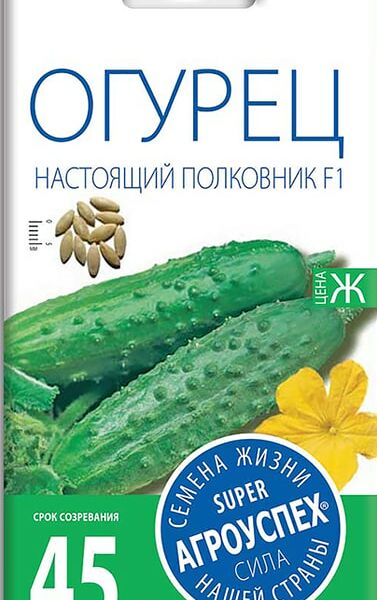 Семена Агроуспех Огурец Настоящий полковник F1 8шт