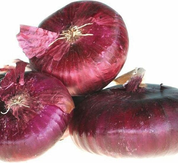 Лук Ялтинский репчатый красный