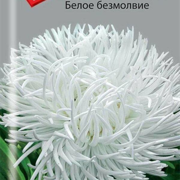 Семена Астра Белое безмолвие ТМ Поиск
