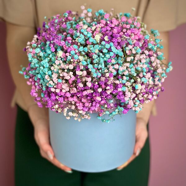 Цветная гипсофила в коробке L