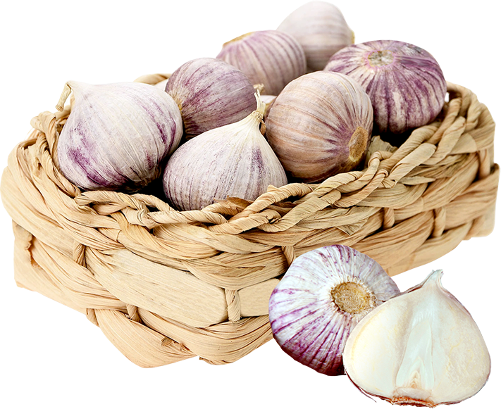 

Чеснок соло