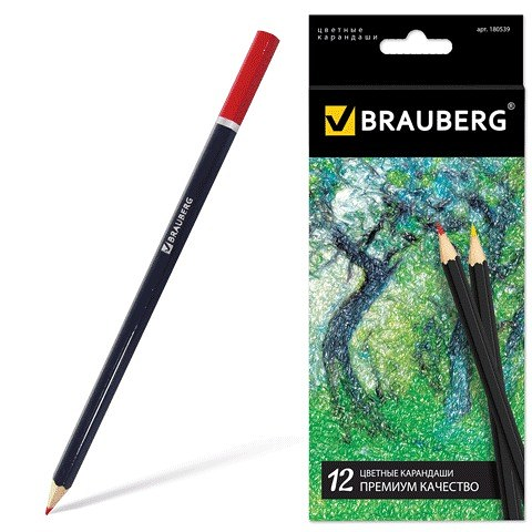 Карандаши цветные Brauberg Artist line 12цв черный корп заточ в/к 180539