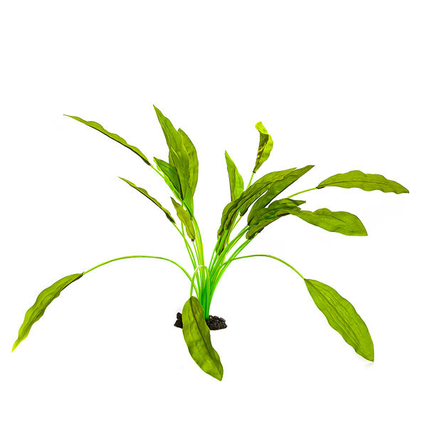 Декор для аквариума Растение шелковое Эхинодорус Селовианус, 40см