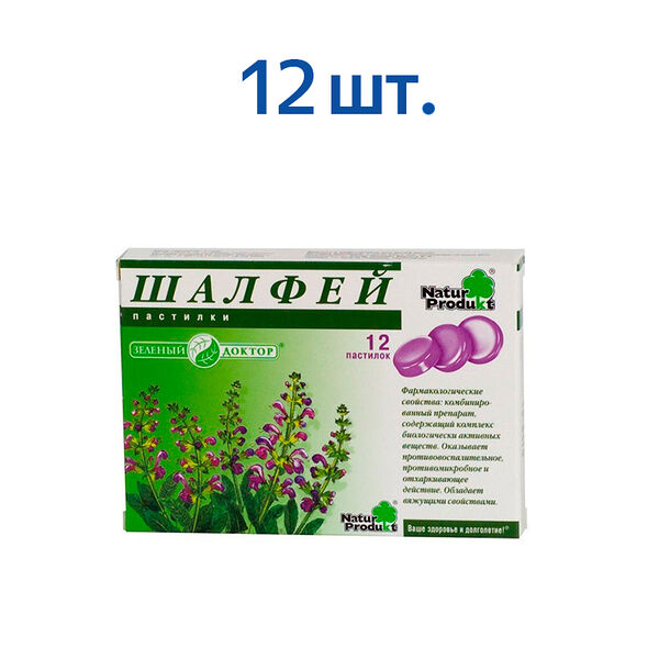 Шалфей пастилки, 12 штук