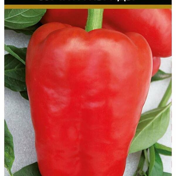 Семена перец сладкий Атлант ТМ Поиск