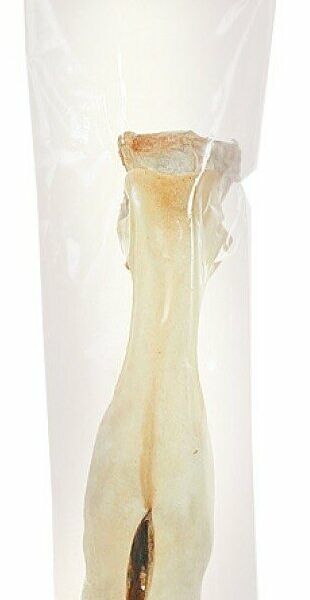 Лакомство для собак Titbit Нога говяжья малая