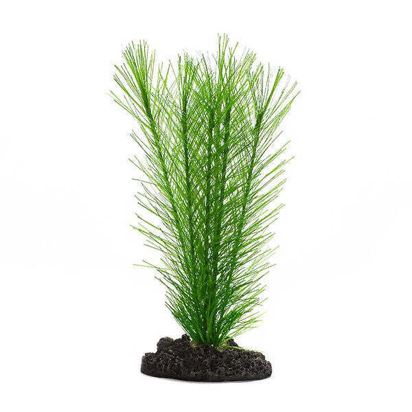 Декор для аквариума Перистолистник, 13см