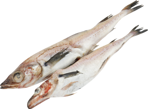 

Минтай замороженный неразделанный вес