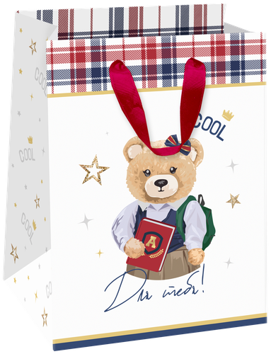 

Пакет подарочный Teddy SM 14х19х11см дизайн в ассортименте