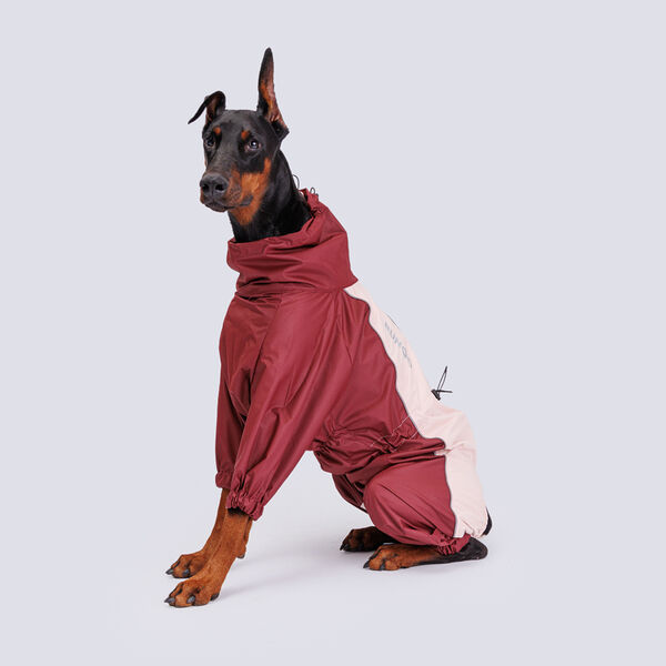 Дождевик для стаффорда терьера, 56x91x51 см, бежевый (девочка)