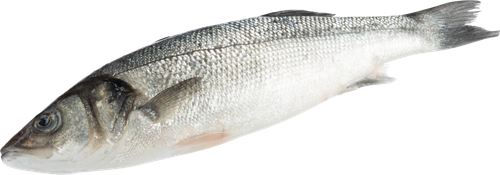 

Сибас 400/600, весовой