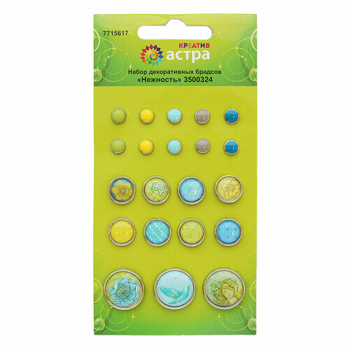 3500324 Набор декоративных брадсов 'Нежность', Astra&Craft