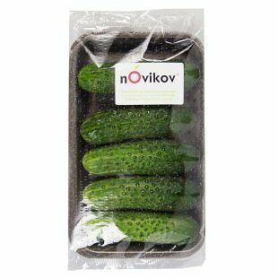 Огурцы короткоплодные ТМ Novikov (Новиков)