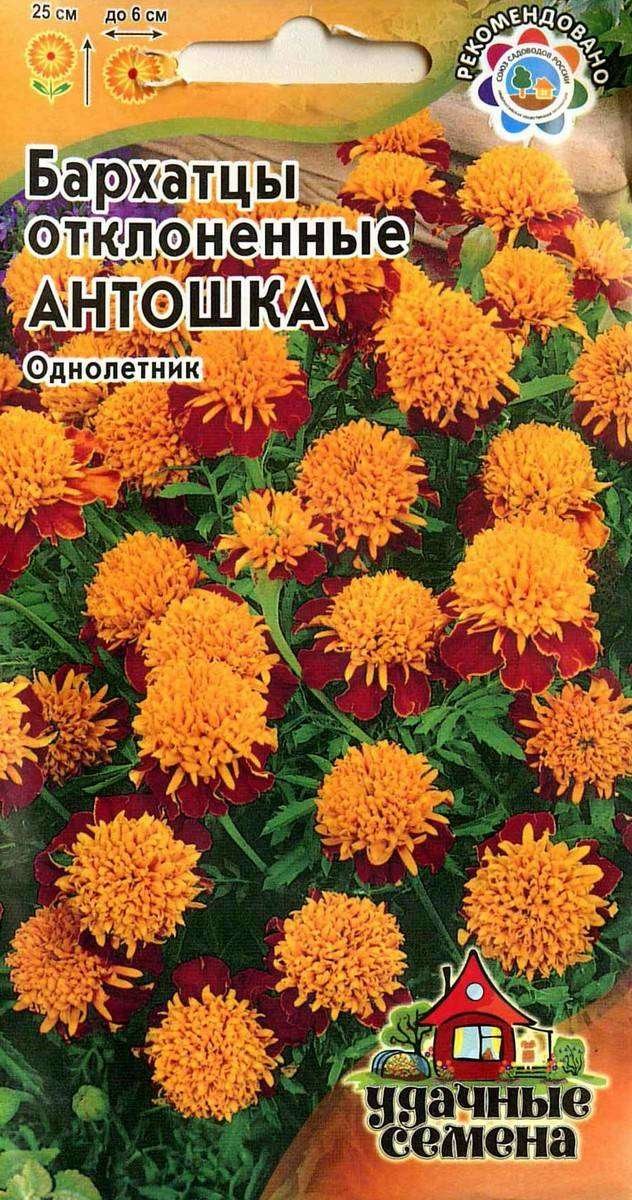 

Семена Бархатцы Отклоненные ТМ Удачные семена