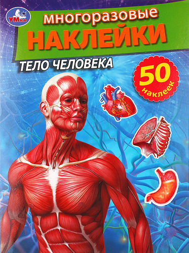 Активити УМКА Тело человека, с многоразовыми наклейками, 8 страниц, Арт. 310864