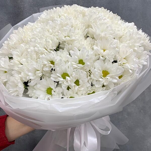 Нежное облако хризантем