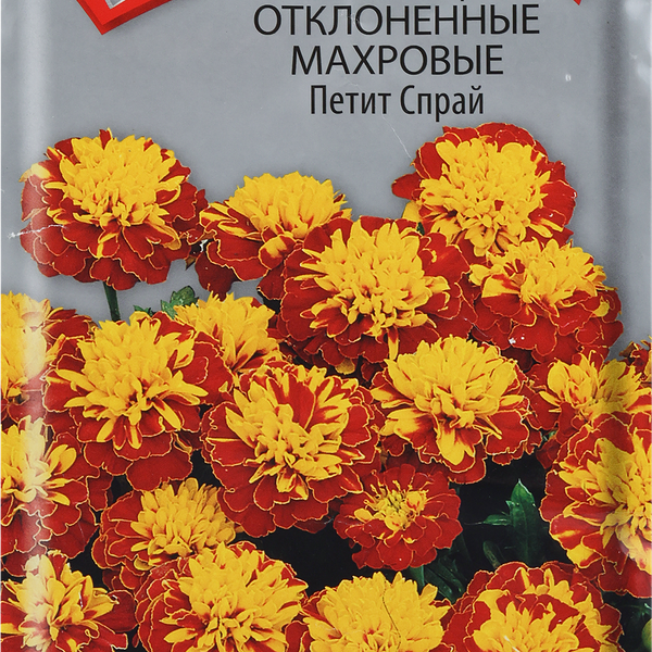 Семена ПОИСК Бархатцы отклоненные махровые Петит Спрай, 0,4г