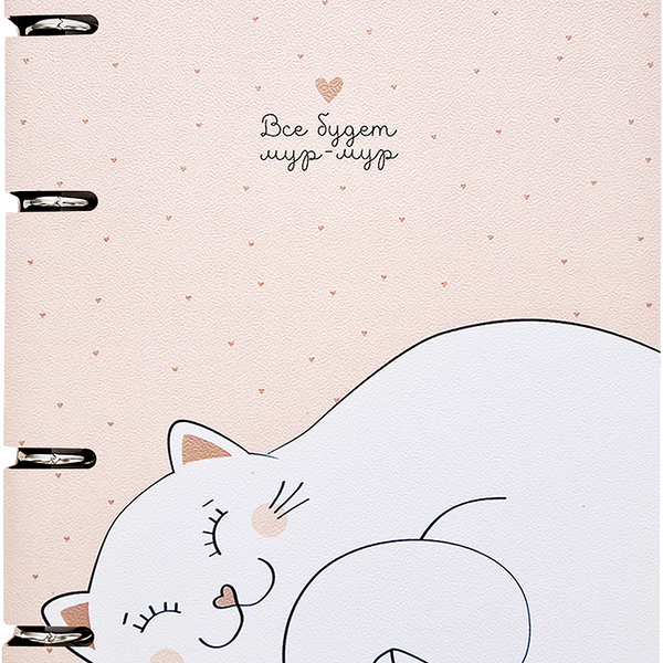 Тетрадь общая Mur-mur Кот А5 120 листов в клетку ТМ BeSmart (БиСмарт)