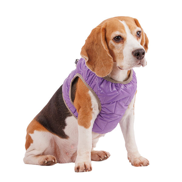 Шлейка фиолетовая со светоотражающей лентой 2XL