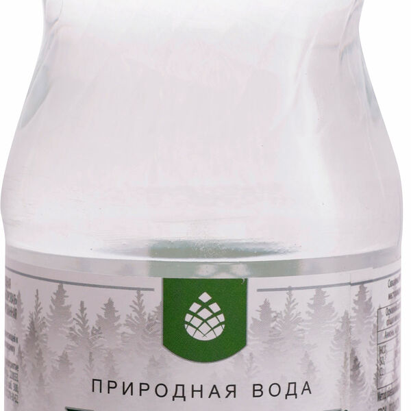 Вода Боровая питьевая лечебно-столовая минеральная газированная