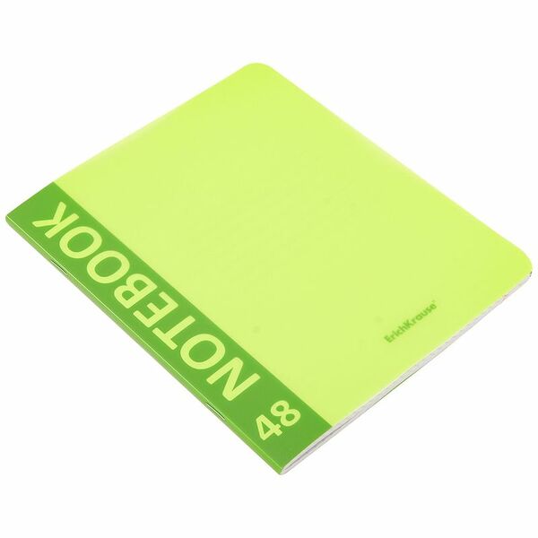 Тетрадь общая ErichKrause A5+ в клетку 48 листов