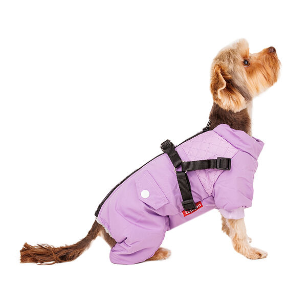Комбинезон на молнии со шлейкой для собак XS фиолетовый (девочка)