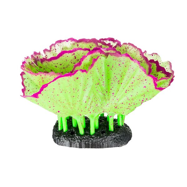 Салат-латук с распылителем в цвете 11х8х12см