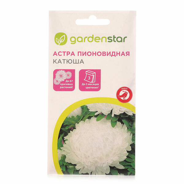 Астра пионовидная Катюша ТМ Garden Star (Гарден Стар)