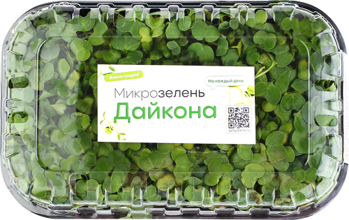 

Микрозелень Дайкон