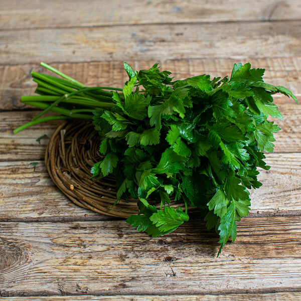 Петрушка Россия