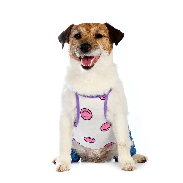 Костюм летний для собак XS синий (унисекс)