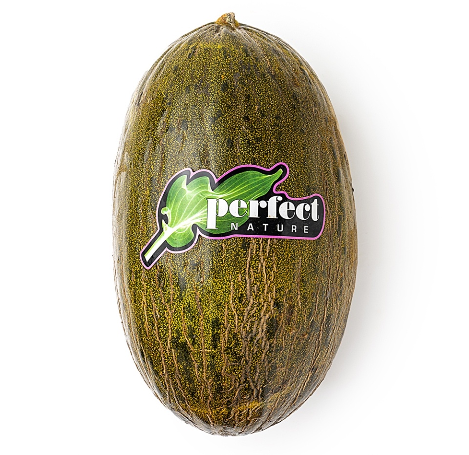 

Дыня Пиэль де сапо вес