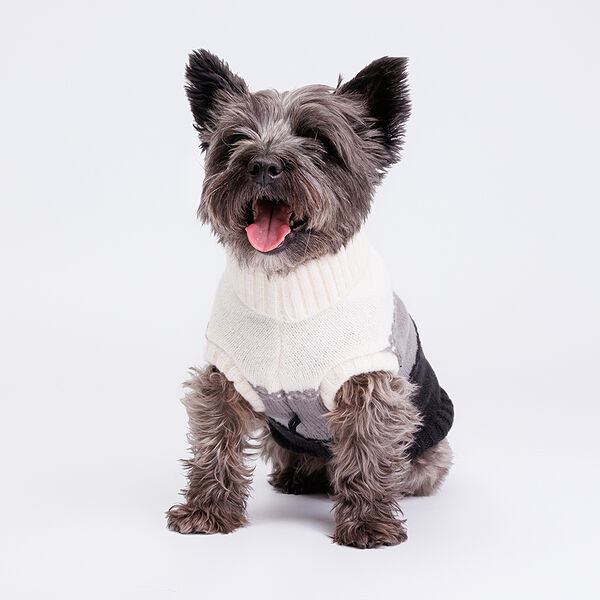 Свитер для собак, 40 см, черно-белый