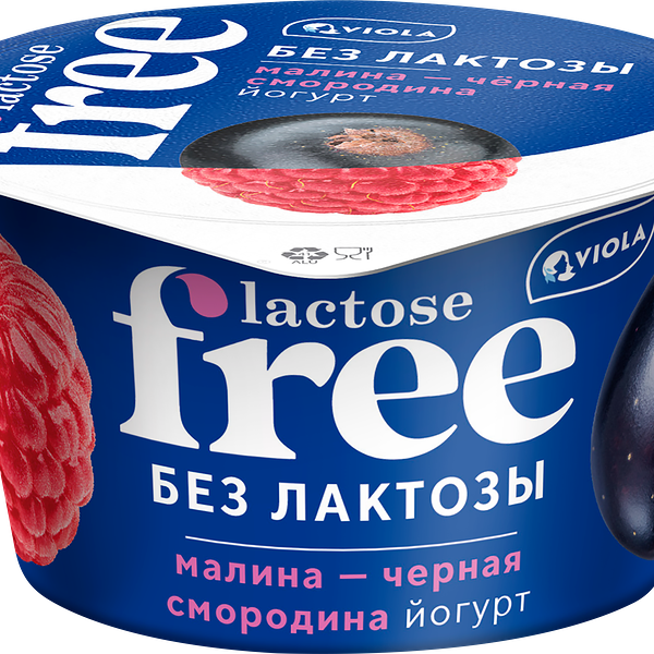 Йогурт Viola безлактозный Free Малина-Черная смородина 2,7% 180г, Россия