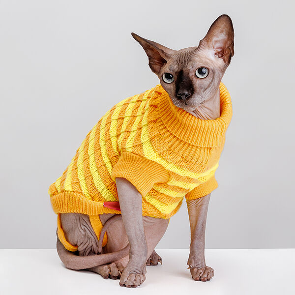 Свитер полосатый для кошек и собак, 40 см, желтый