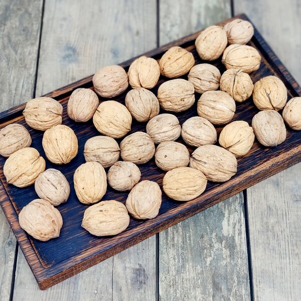 Орех Грецкий в скорлупе (Крым)