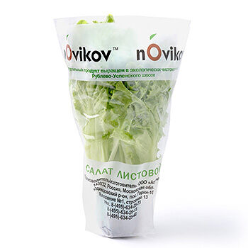 Салат листовой в горшке Novikov, Россия