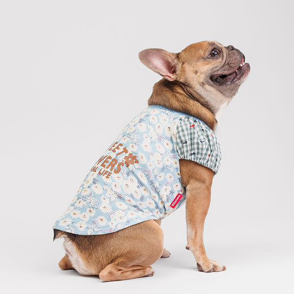 Футболка для собак, XL, голубая с белыми цветочками