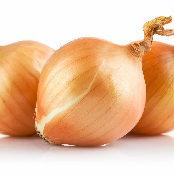 Лук репчатый