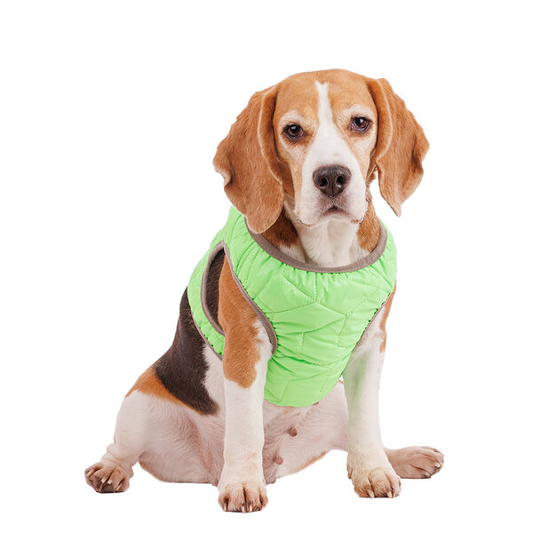 Шлейка зеленая со светоотражающей лентой 2XL