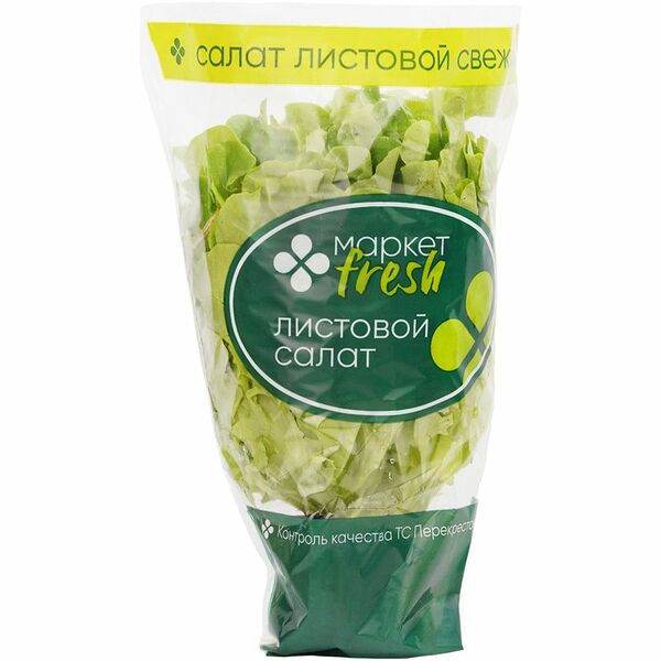 Салат Дуболистный зеленый в горшке, 1шт