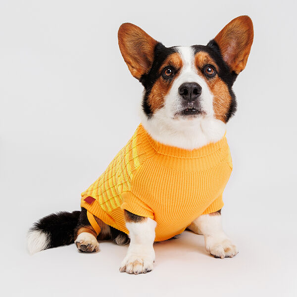 Свитер полосатый для кошек и собак, 40 см, желтый